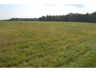 Dekalb County, Indiana Farmland - MAJOR LAND AUCTION - 516+/- ACRES OFFERED IN 18 TRACTS OR COMBINATIONS IN DEKALB COUNTY, INDIANA